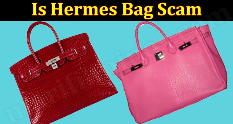 Is Hermes Bag Scam (June 2021) Checkout Details Now!