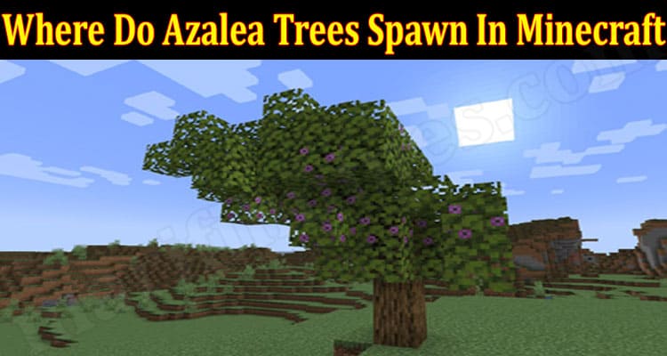 Where Do Azalea Trees Spawn In Minecraft {June 2021} Read