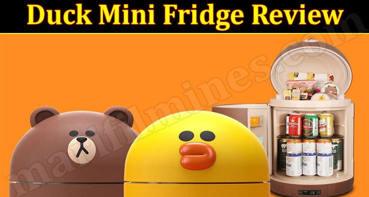 Duck Mini Fridge Review 2021.