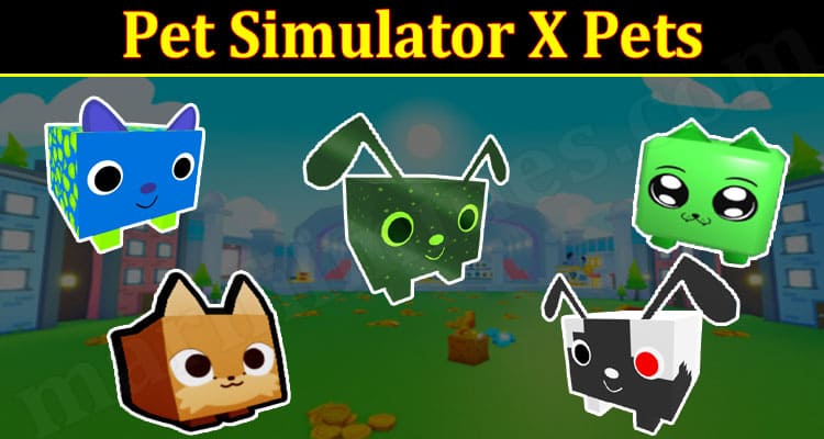 Pet Simulator Online Game Reviews 2021 marifilmifs