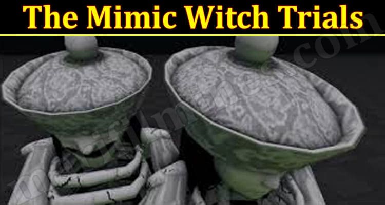 The Mimic Witch Trials 2021.