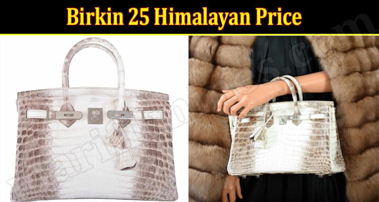 Birkin-25-Himalayan-Online Product Reviews