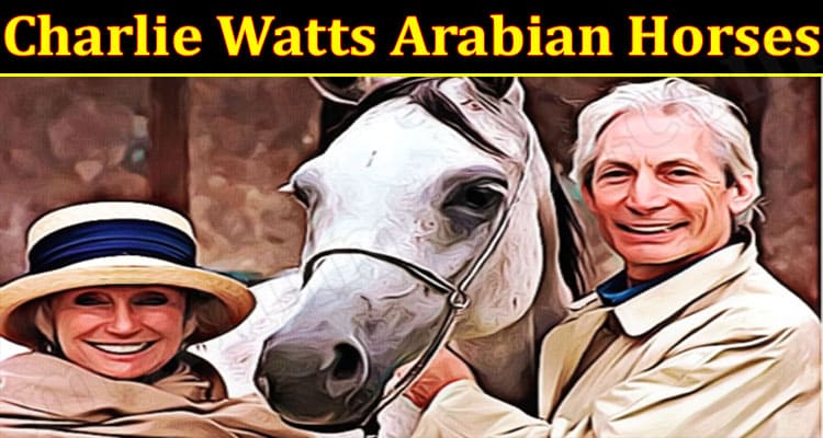 Latest News Charlie Watts Arabian Horses