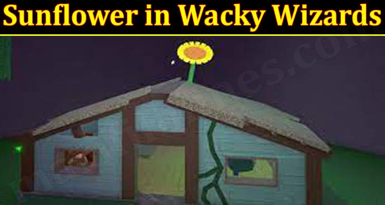 Latest News Sunflower In Wacky Wizards