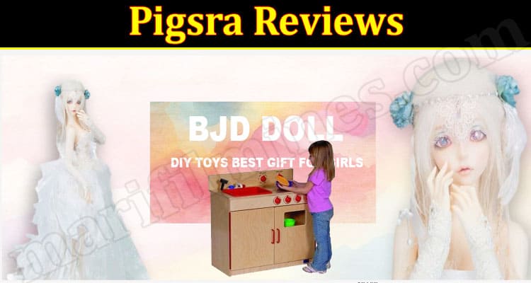 Pigsra Online Website Reviews