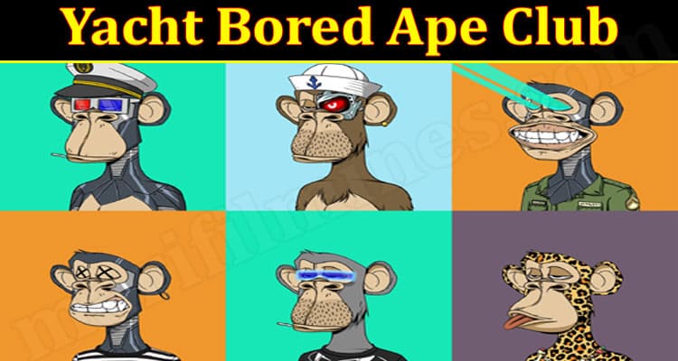 latest News Yacht Bored Ape Club