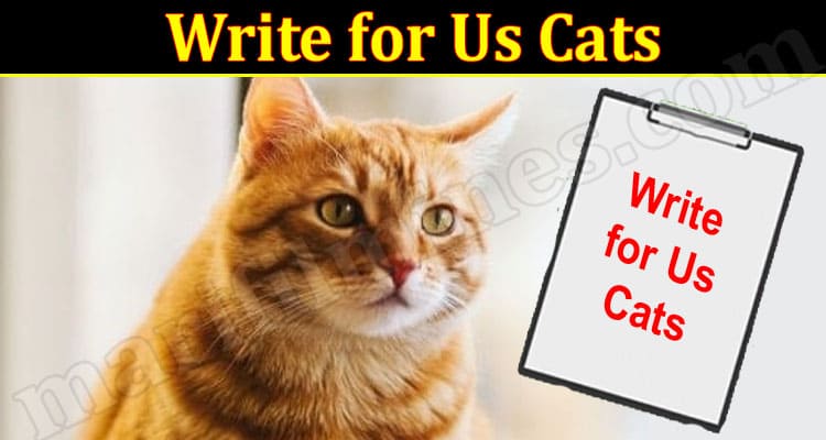 About General Information Write for Us Cats