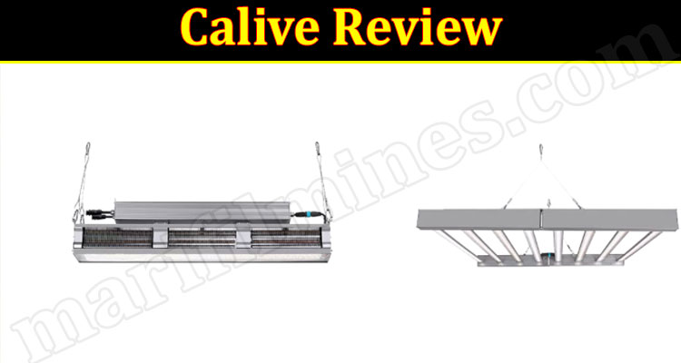 Calive Online website Review