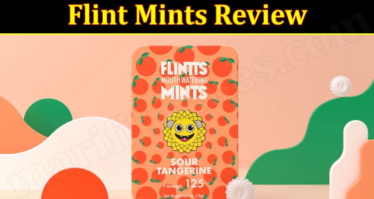 Flint Mints Online website Review