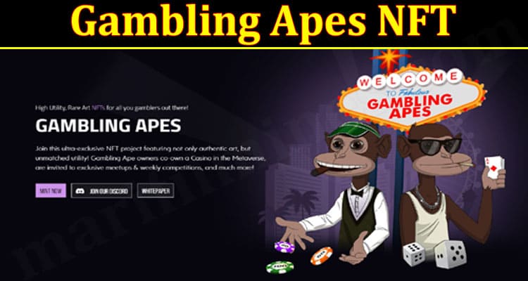 GAming Tips Gambling Apes NFT