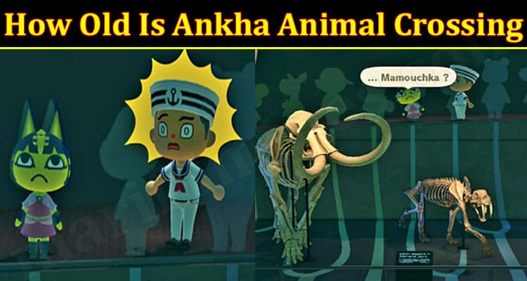 Gaming Tips Ankha Animal Crossing