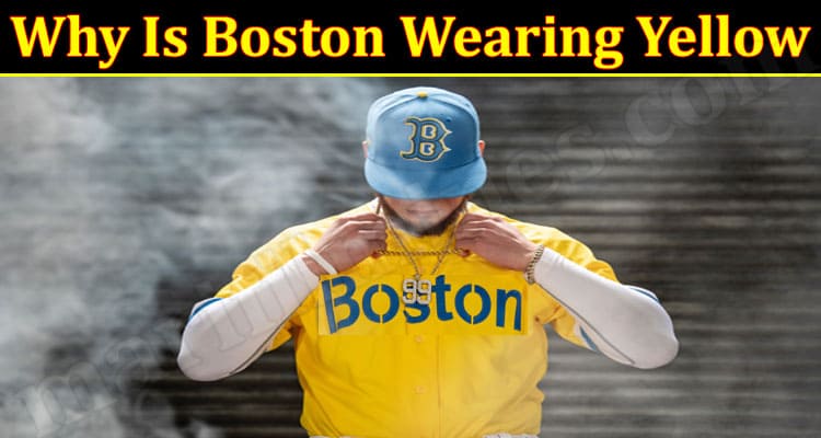 Gaming Tips Boston Wearing Yellow