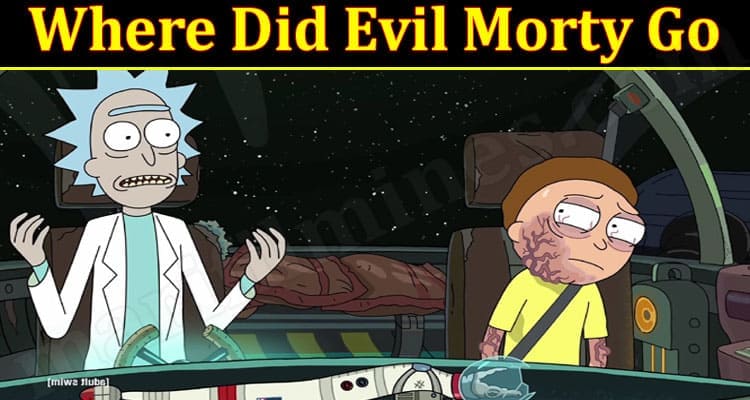 Gaming Tips Evil Morty Go