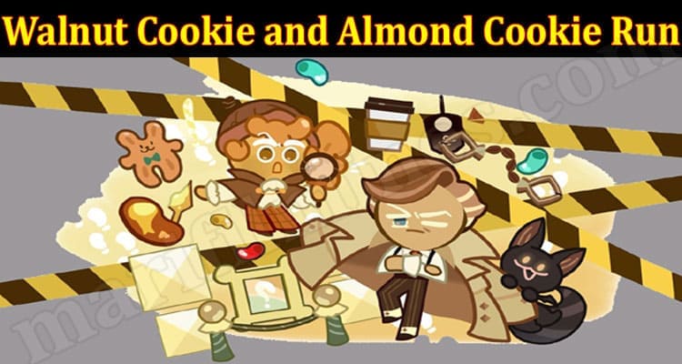 Latest News Walnut Cookie and Almond Cookie Run