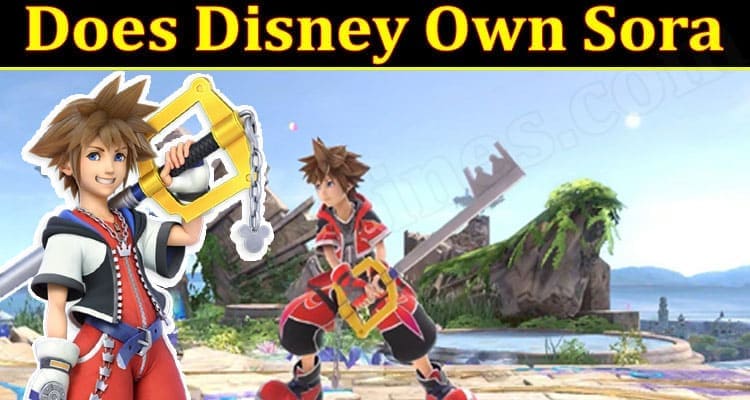 Gaming Tips Disney Own Sora