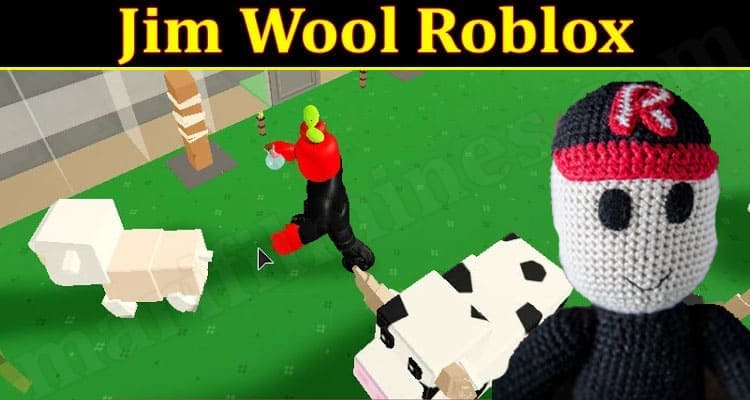 Gaming Tips Jim Wool Roblox