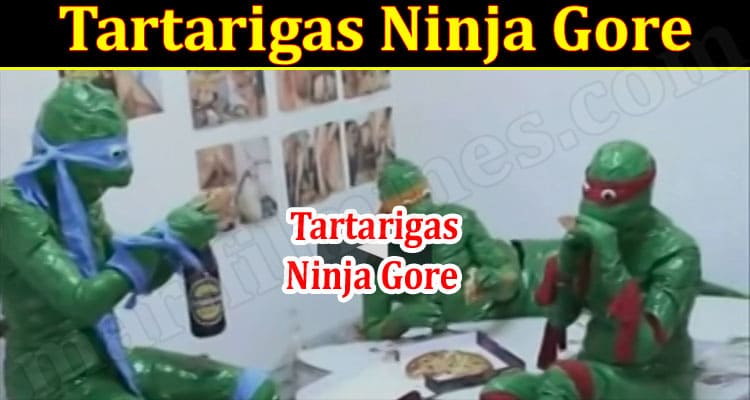 Gaming Tips Tartarigas Ninja Gore