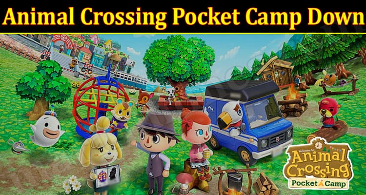 Latest News Animal Crossing Pocket Camp Down