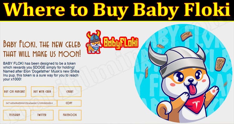 Latest News Buy Baby Floki