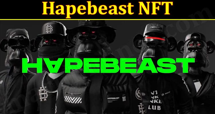 Latest News Hapebeast NFT