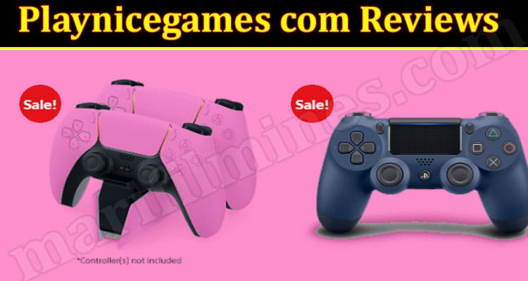 Playnicegames Online Website Reviews