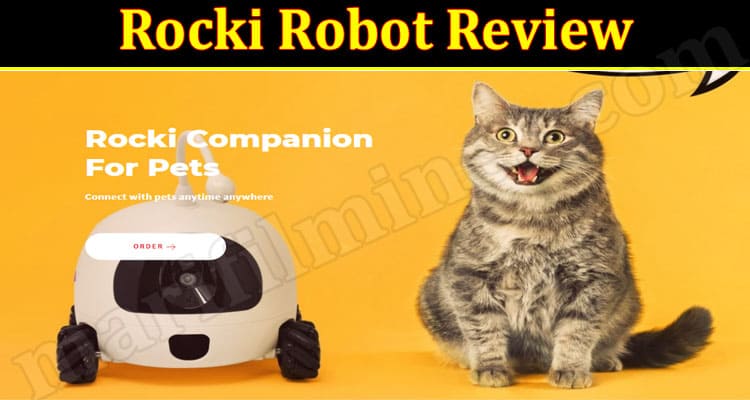 Rocki Robot Online Product Review