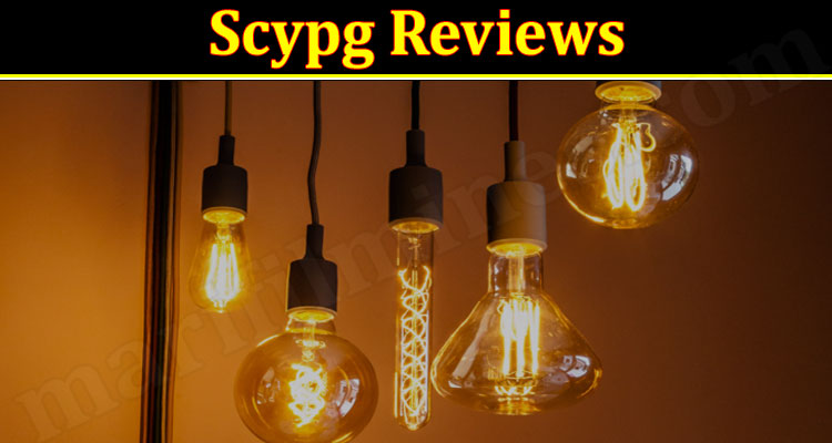 Scypg Online Website Review