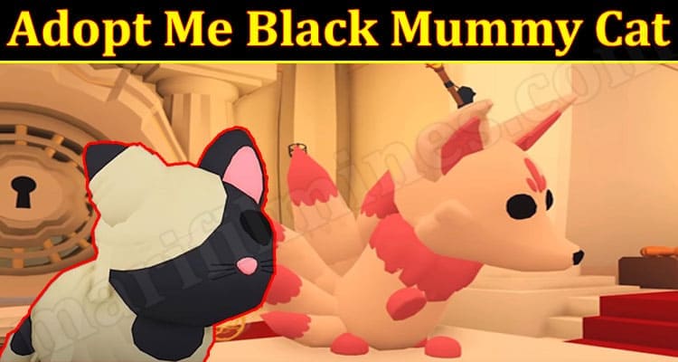 Gaming Tips Adopt Me Black Mummy Cat