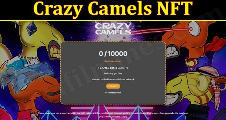 Latest News Crazy Camels NFT