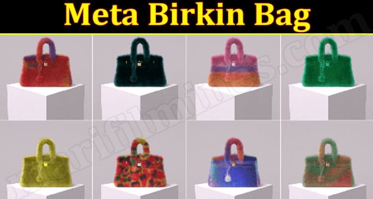 Latest News Meta Birkin Bag