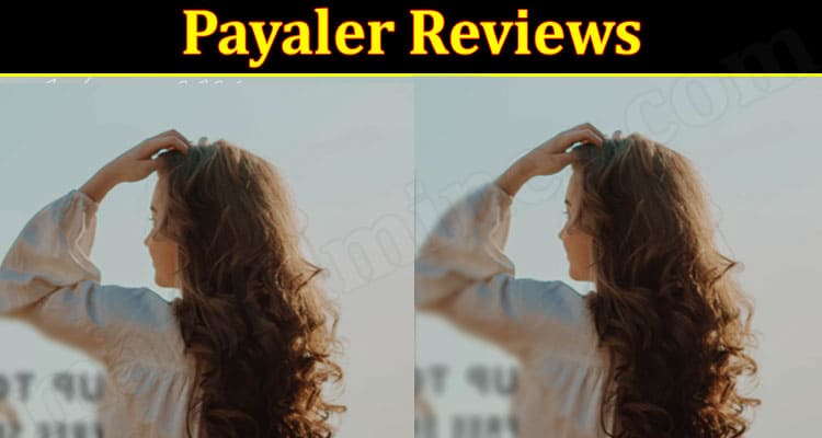 Payaler Online website Reviews