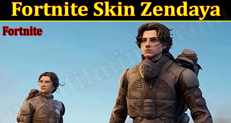 Gaming Tips Fortnite Skin Zendaya