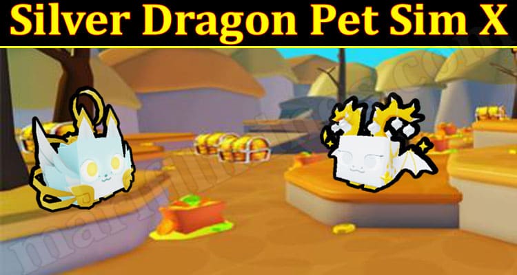 Gaming Tips Silver Dragon Pet Sim X