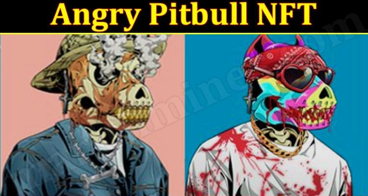 Latest News Angry Pitbull NFT