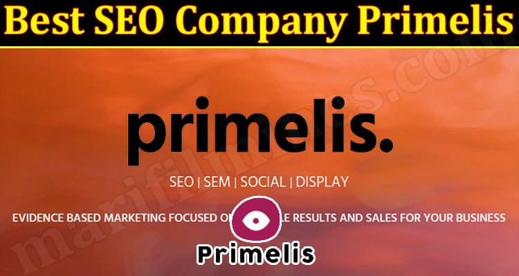 Latest News Best SEO Company Primelis