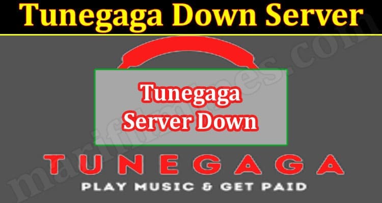 Latest News Tunegaga Down Server