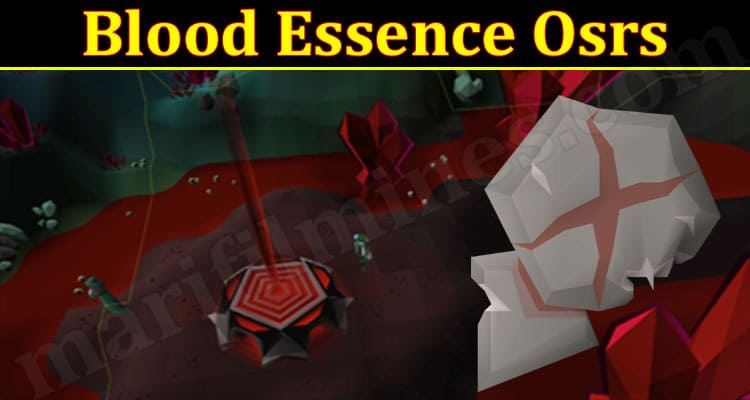 Latest News Blood Essence Osrs