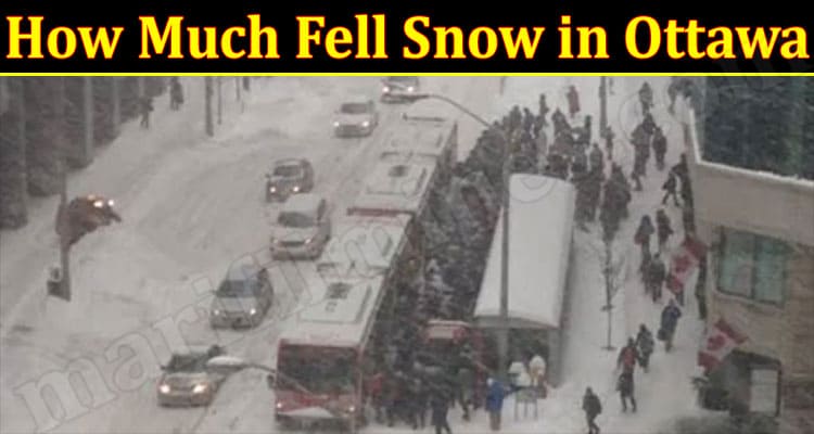 Latest News How Much Fell Snow in Ottawa