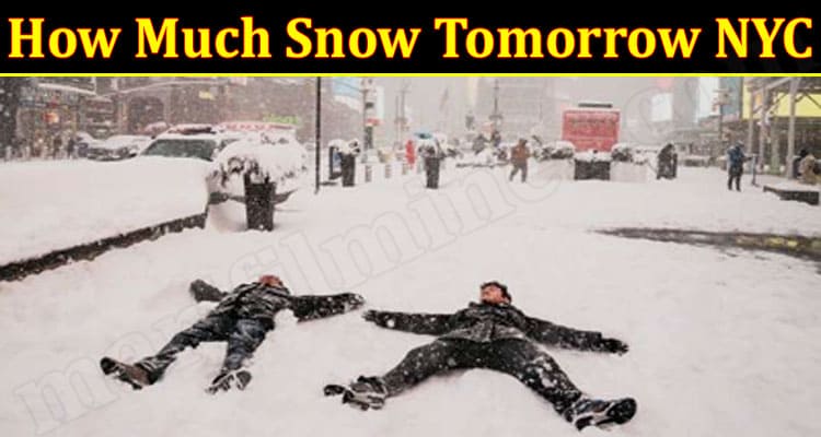 Latest News How Much Snow Tomorrow NYC