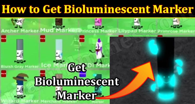 Latest News How to Get Bioluminescent Marker