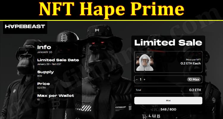 Latest News NFT Hape Prime