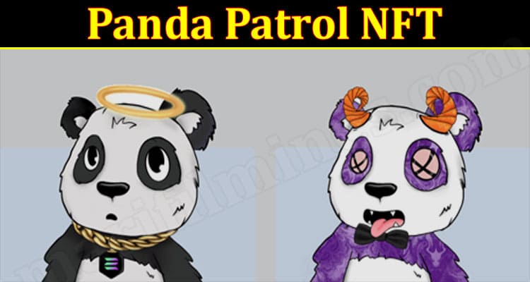 Latest News Panda Patrol NFT