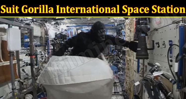 Latest News Suit Gorilla International Space Station