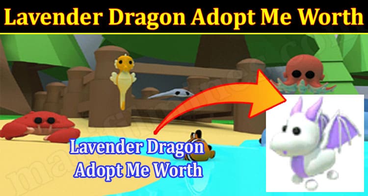 Gaming Tips Lavender Dragon Adopt Me Worth