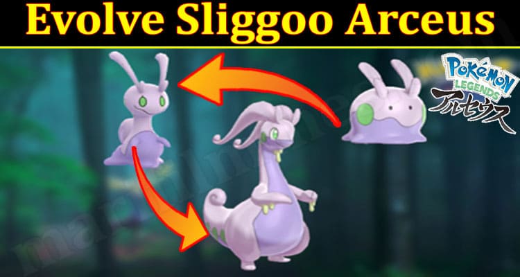 Latest News Evolve Sliggoo Arceus