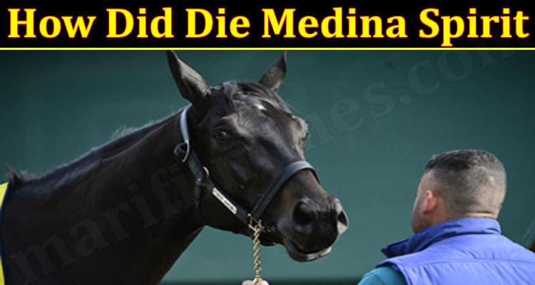 Latest News How Did Die Medina Spirit