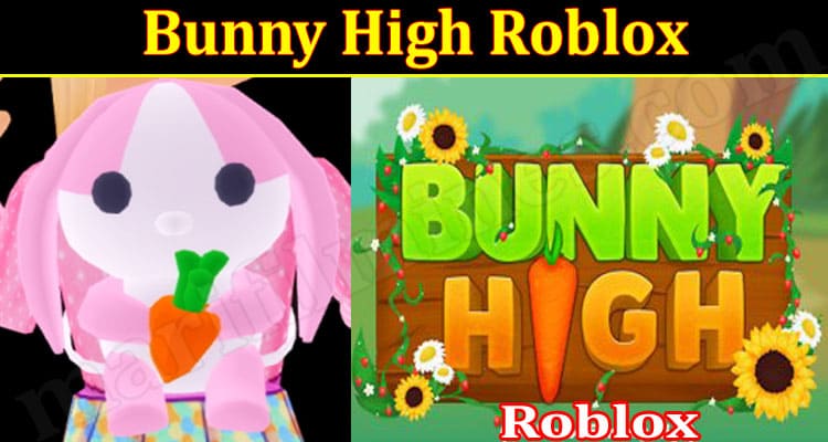 httpsGaGaming Tips Bunny High Robloxming Tips Bunny High Roblox://www.marifilmines.com/nft-lazy-bunny/