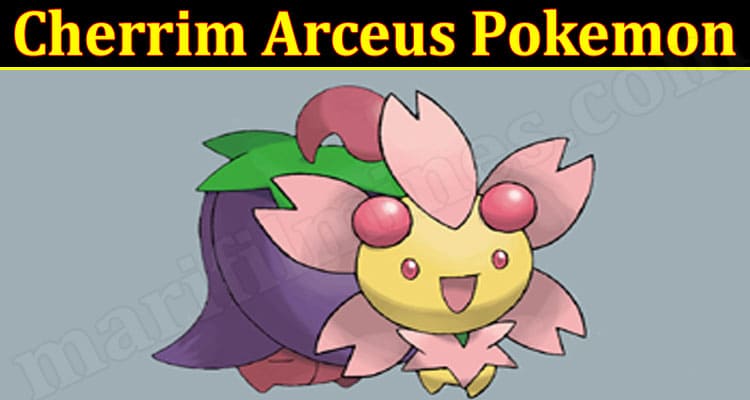 Gaming Tips Cherrim Arceus Pokemon