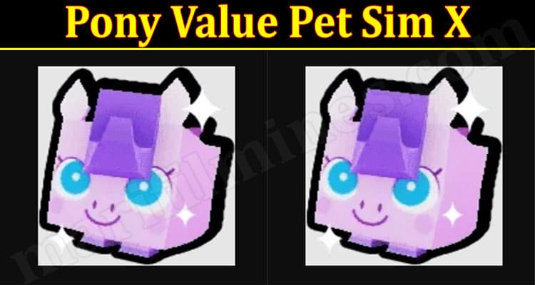 Latest News Pony Value Pet Sim X