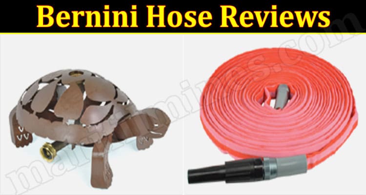 Bernini Hose Online Website Reviews